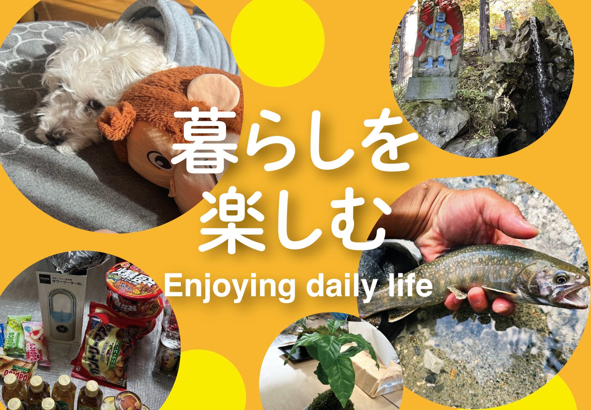 断熱の基本はまずは「窓」から。家の暑さは73％、寒さは58％が「窓とドア」から出入りするからです。●夏の冷房時／昼：流入は開口部73％、天井11％、外壁7％、換気6％、床3％。●冬の暖房時：流出は開口部58％、換気15％、外壁15％、屋根9％、床7％。既存の省エネ基準である複層ガラスの窓を使用している家は多くありません。「単板ガラス」といってガラス一枚の窓を使っている家がほとんどです。窓のリフォームは一番断熱効果が高いのです。